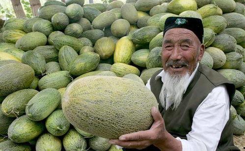 一岁吃哈密瓜,开启甜蜜味蕾之旅